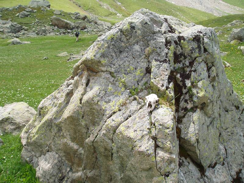 Youri - Ecrins 2005 079 